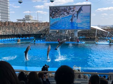 名古屋港水族館に投稿された画像（2024/3/22）
