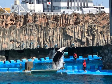 名古屋港水族館に投稿された画像（2024/3/22）