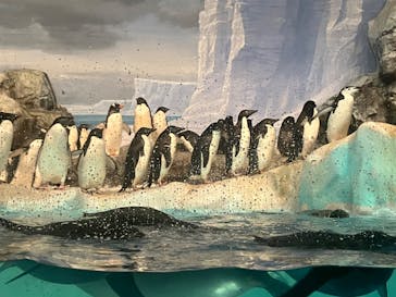 名古屋港水族館に投稿された画像（2024/3/22）