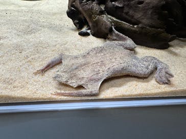 AOAO SAPPOROに投稿された画像（2024/3/22）