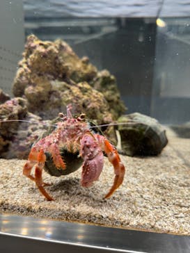 AOAO SAPPOROに投稿された画像（2024/3/22）