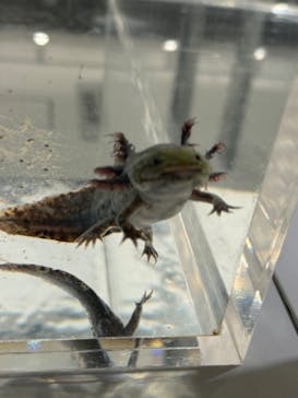 AOAO SAPPOROに投稿された画像（2024/3/22）