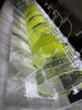 AOAO SAPPOROに投稿された画像（2024/3/22）