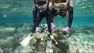 武藤潜水に投稿された画像（2024/3/22）