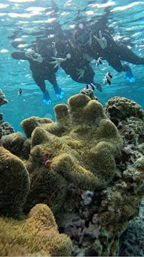 宮古島 ADVENTURE PiPi（ミヤコジマ アドベンチャー ピピ）に投稿された画像（2024/3/22）