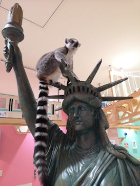 アニタッチアクアシティお台場に投稿された画像（2024/3/22）