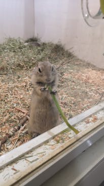 アニタッチアクアシティお台場に投稿された画像（2024/3/22）