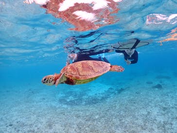 ちゃこたびに投稿された画像（2024/3/22）