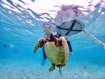 ちゃこたびに投稿された画像（2024/3/22）