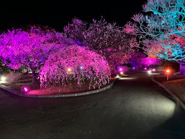 せんだい農業園芸センター　みどりの杜に投稿された画像（2024/3/22）