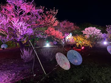 せんだい農業園芸センター　みどりの杜に投稿された画像（2024/3/22）