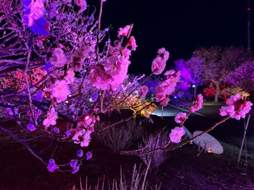 せんだい農業園芸センター　みどりの杜に投稿された画像（2024/3/22）