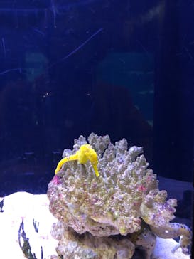 マクセル アクアパーク品川に投稿された画像（2024/3/22）