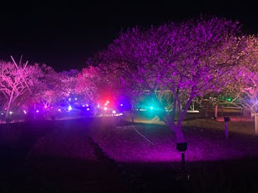 せんだい農業園芸センター　みどりの杜に投稿された画像（2024/3/22）