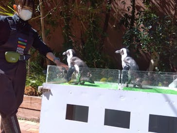 マクセル アクアパーク品川に投稿された画像（2024/3/22）