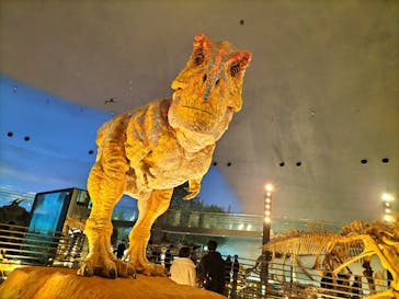 福井県立恐竜博物館に投稿された画像（2024/3/22）