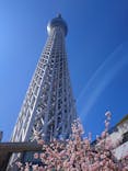 東京スカイツリーに投稿された画像（2024/3/22）