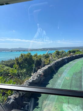 ナゴパイナップルパークに投稿された画像（2024/3/22）