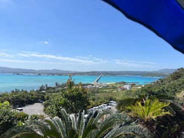 ナゴパイナップルパークに投稿された画像（2024/3/22）