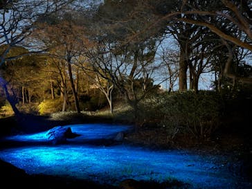 六義園に投稿された画像（2024/3/22）