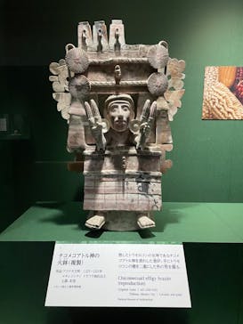 特別展「古代メキシコ ーマヤ、アステカ、テオティワカン」に投稿された画像（2024/3/22）