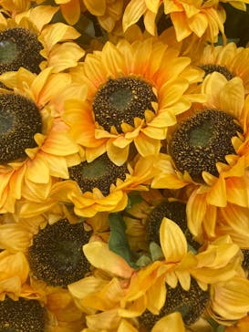 ゴッホ・アライブに投稿された画像（2024/3/22）