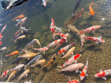 環境水族館アクアマリンふくしまに投稿された画像（2024/3/22）