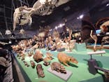 特別展「大哺乳類展３－わけてつなげて大行進」に投稿された画像（2024/3/23）