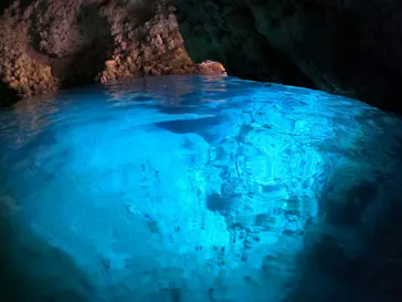 武藤潜水に投稿された画像（2024/3/23）