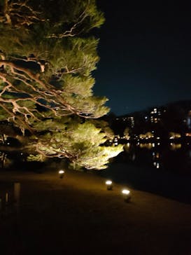 六義園に投稿された画像（2024/3/23）