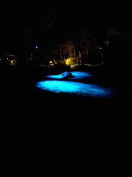 六義園に投稿された画像（2024/3/23）