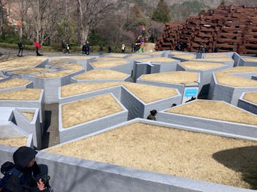 彫刻の森美術館に投稿された画像（2024/3/23）