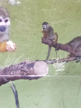 ひらかたパークに投稿された画像（2024/3/23）