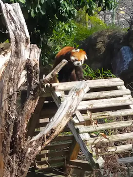 ひらかたパークに投稿された画像（2024/3/23）