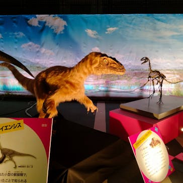 オダイバ恐竜博覧会2024 -福井から“ヤツラ”が新幹線でやってくる！-に投稿された画像（2024/3/23）