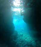 沖縄マリンサービス碧に投稿された画像（2024/3/23）