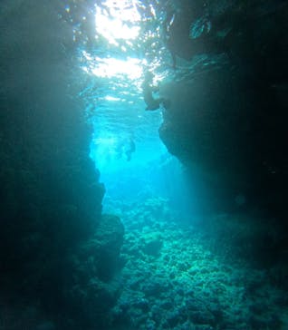 沖縄マリンサービス碧に投稿された画像（2024/3/23）