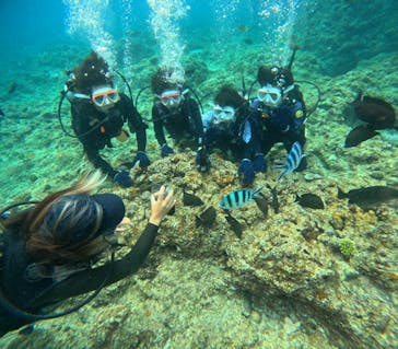 沖縄マリンサービス碧に投稿された画像（2024/3/23）