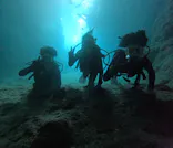 武藤潜水に投稿された画像（2024/3/23）