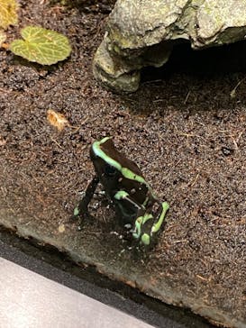 サンシャイン水族館に投稿された画像（2024/3/23）