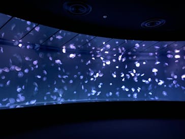 サンシャイン水族館に投稿された画像（2024/3/23）