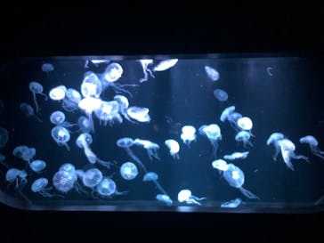 AOAO SAPPOROに投稿された画像（2024/3/23）