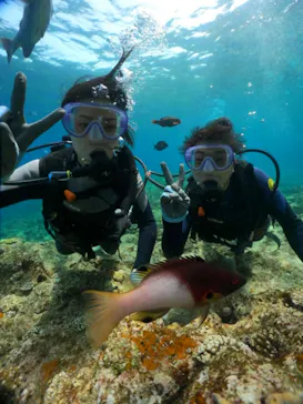 武藤潜水に投稿された画像（2024/3/23）