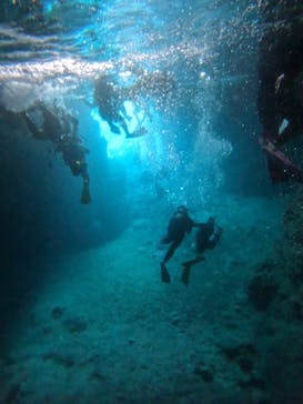 沖縄マリンサービス碧に投稿された画像（2024/3/23）