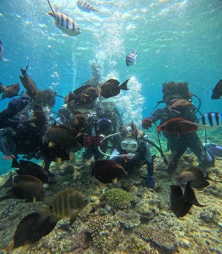 沖縄マリンサービス碧に投稿された画像（2024/3/23）