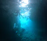 沖縄マリンサービス碧に投稿された画像（2024/3/23）