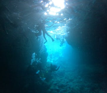 沖縄マリンサービス碧に投稿された画像（2024/3/23）