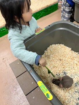 いきもの探検隊上尾に投稿された画像（2024/3/23）