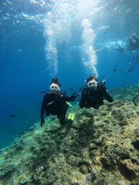 武藤潜水に投稿された画像（2024/3/23）