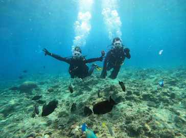 武藤潜水に投稿された画像（2024/3/23）